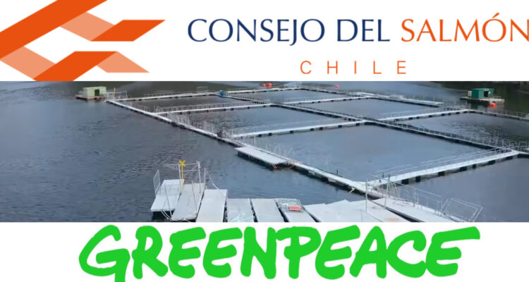 Foto de Greenpeace, Consejo del Salmón y centro de cultivo