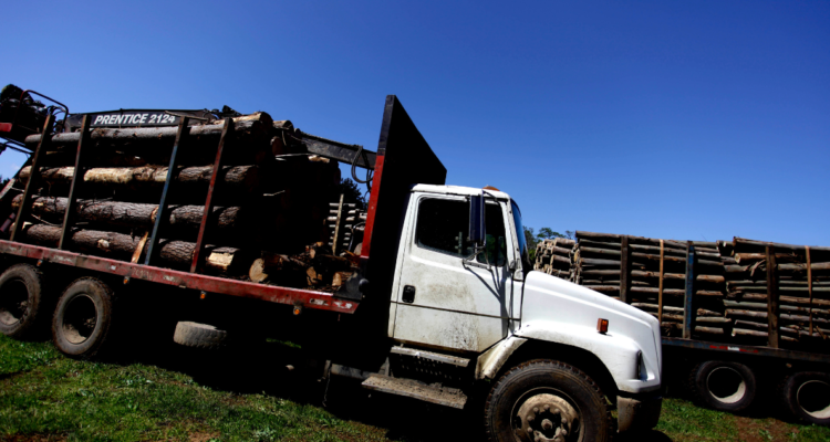 prisión preventiva El Mentolato
