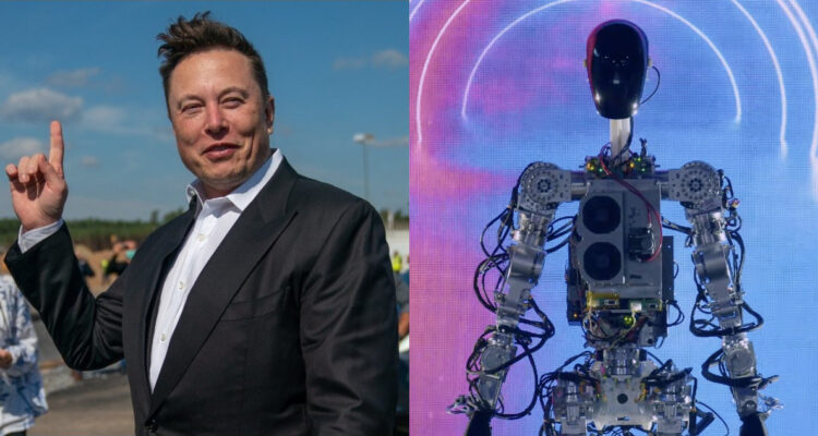 Elon Musk Optimus