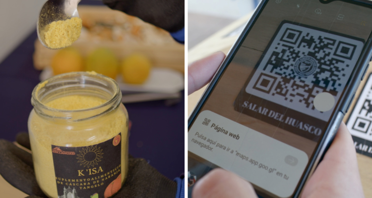 emprendimientos de Pica