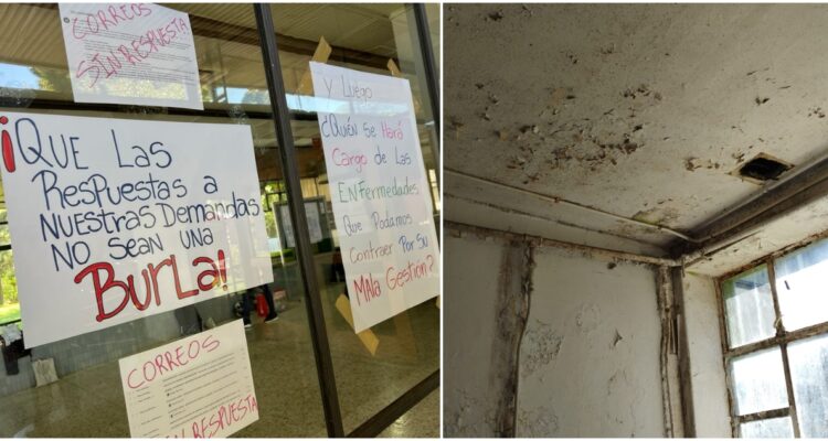 Diego Malverde – RBB Valdivia – Cedida