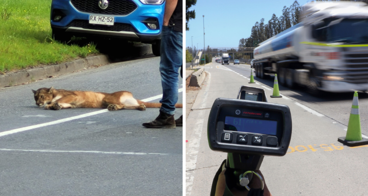 Piden disminuir velocidad en rutas de Santa Juana
