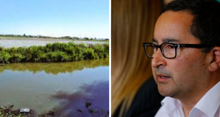 Trabajos de maquinaria pesada sobre humedal Vasco de Gama