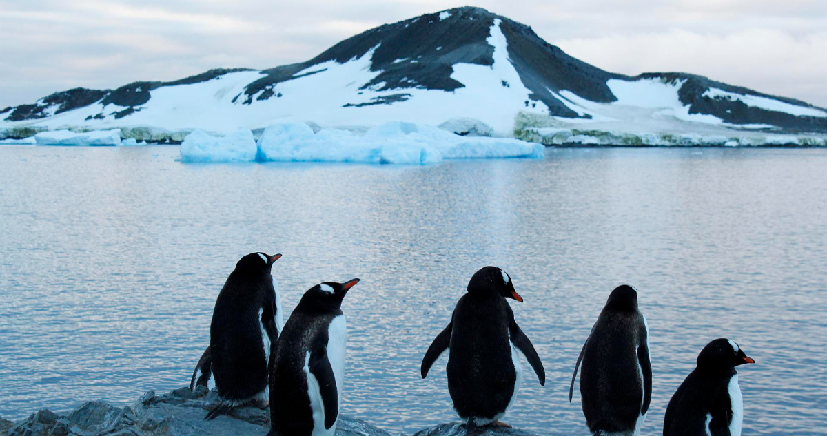 Antártica