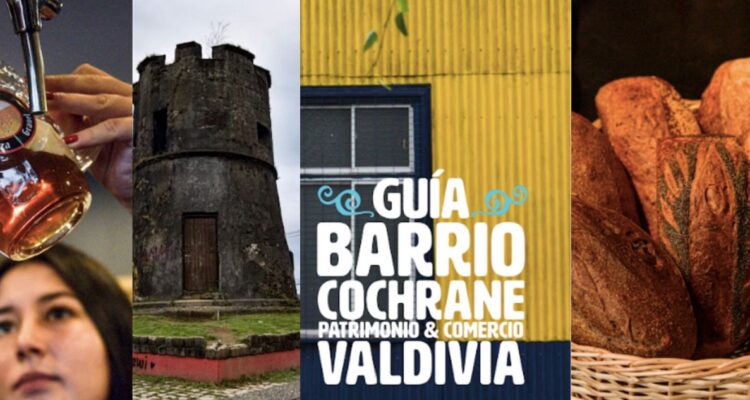 Guía Barrio Cochrane