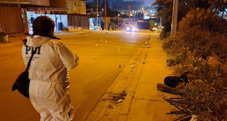 homicidio mujer en Placilla