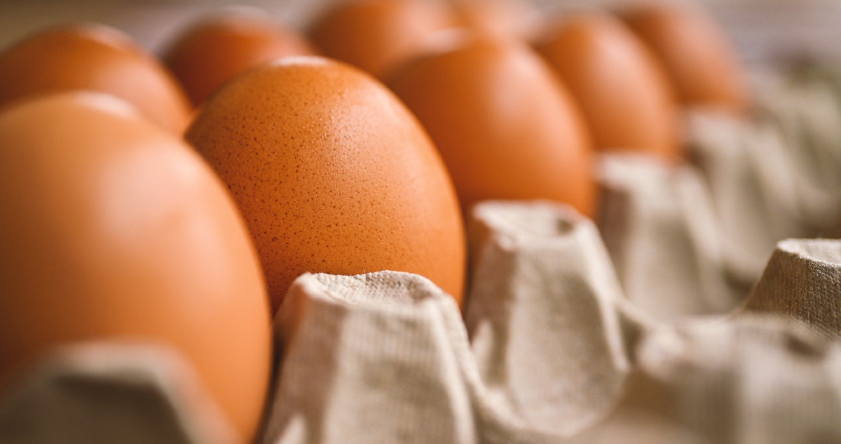 El huevo es considerado una de las proteínas más accesibles