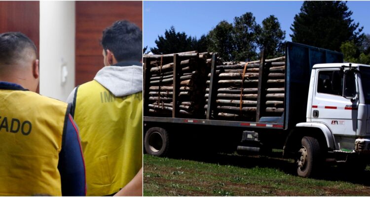 Prisión preventiva para acusados por robo de madera en Collipulli