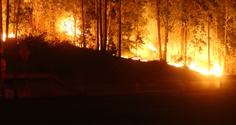 Onemi confirma posible intencionalidad en incendio forestal que amenazó a viviendas en Puerto Montt