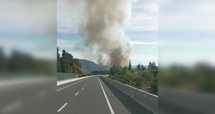 Alerta Amarilla por incendio forestal