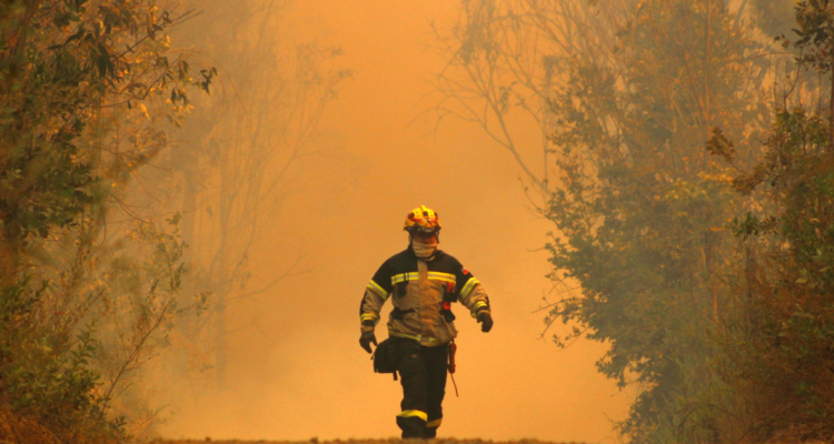 incendio forestal Castro Dalcahue