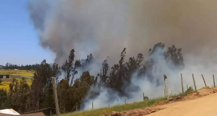 incendio forestal en Paredones