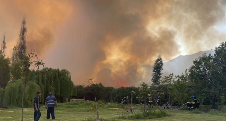 Municipio se querella por incendio forestal en Panquehue