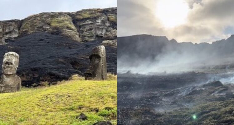 Nuevo incendio forestal afecta Papa Vaka en Rapa Nui