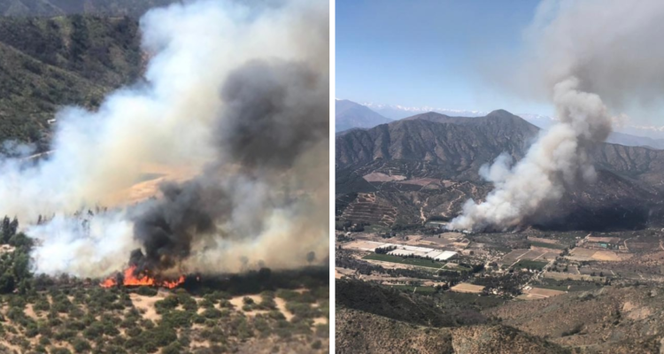 Incendio forestal en Hijuelas