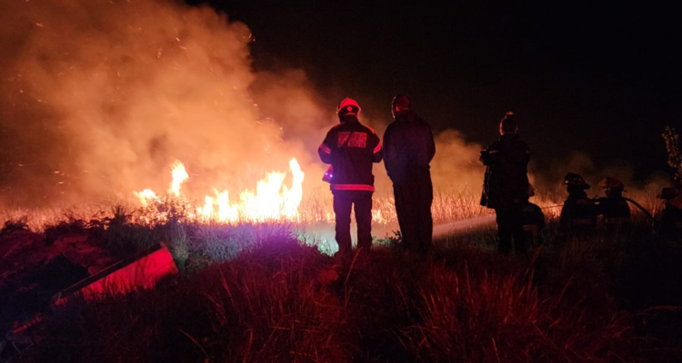 Vecinos lamentan ausencia de helicóptero en humedal de Valdivia