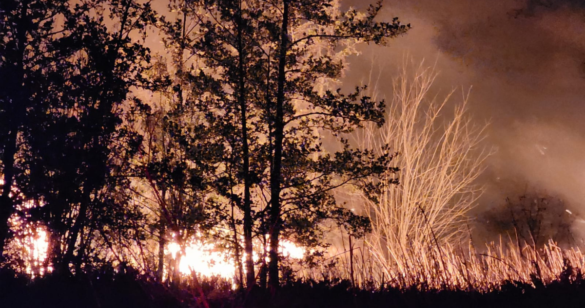 Vecinos no descartan intencionalidad de incendio que destruyó humedal protegido en Valdivia