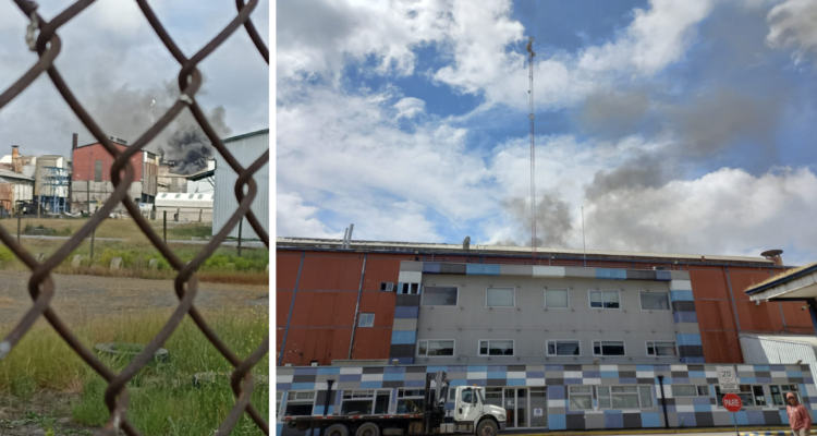 incendio Iansa Los Ángeles