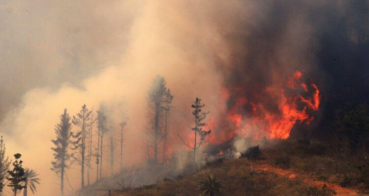 Corma advierte ante incendios forestales intencionales provocados por “grupos organizados”