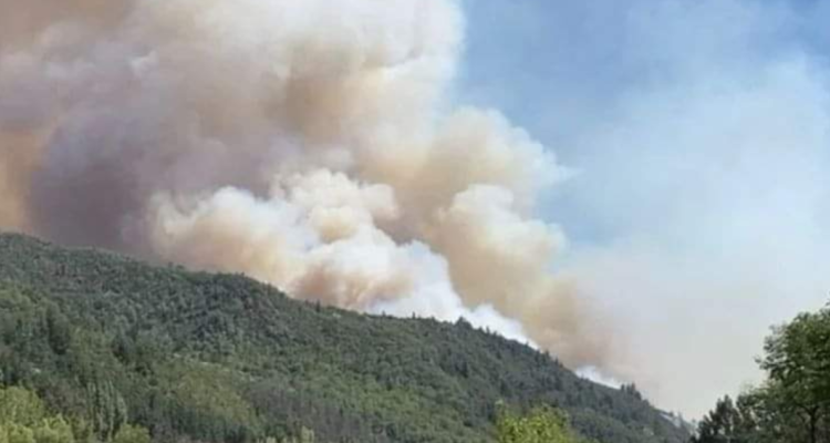 incendios forestales