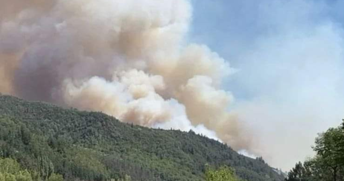 incendios forestales