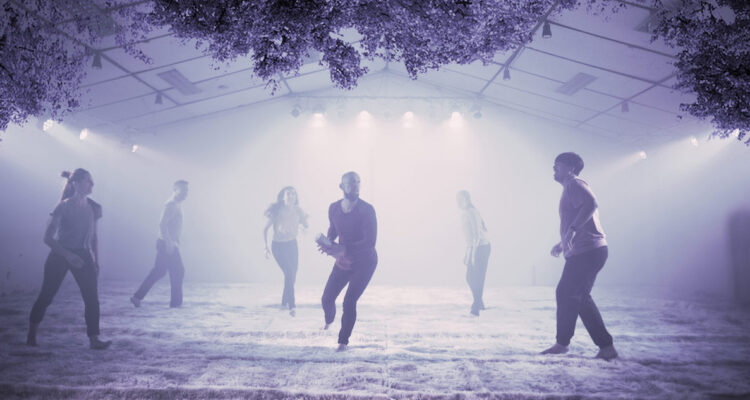 arboleda de colectivo la vitrina