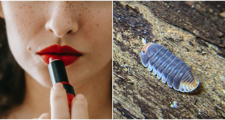 Qué es lo que contiene tu lápiz labial