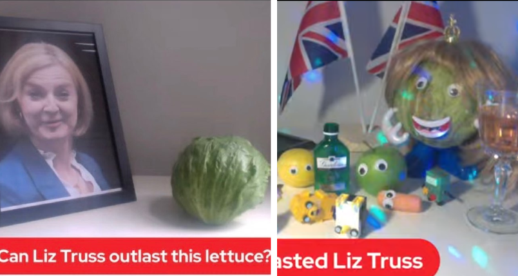 Desafío Liz Truss y lechuga