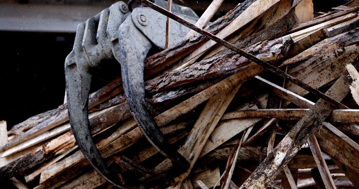 Fiscalía pide alzar secreto bancario de forestales implicadas en estafa al fisco por $5.100 millones