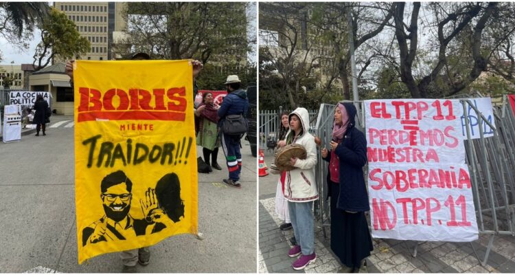 Manifestación TPP11