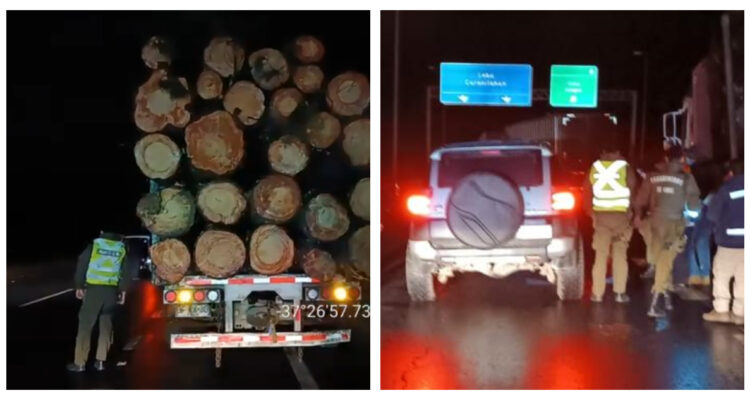 En libertad queda “El Mentolato” y otros dos acusados por robo de madera en Arauco