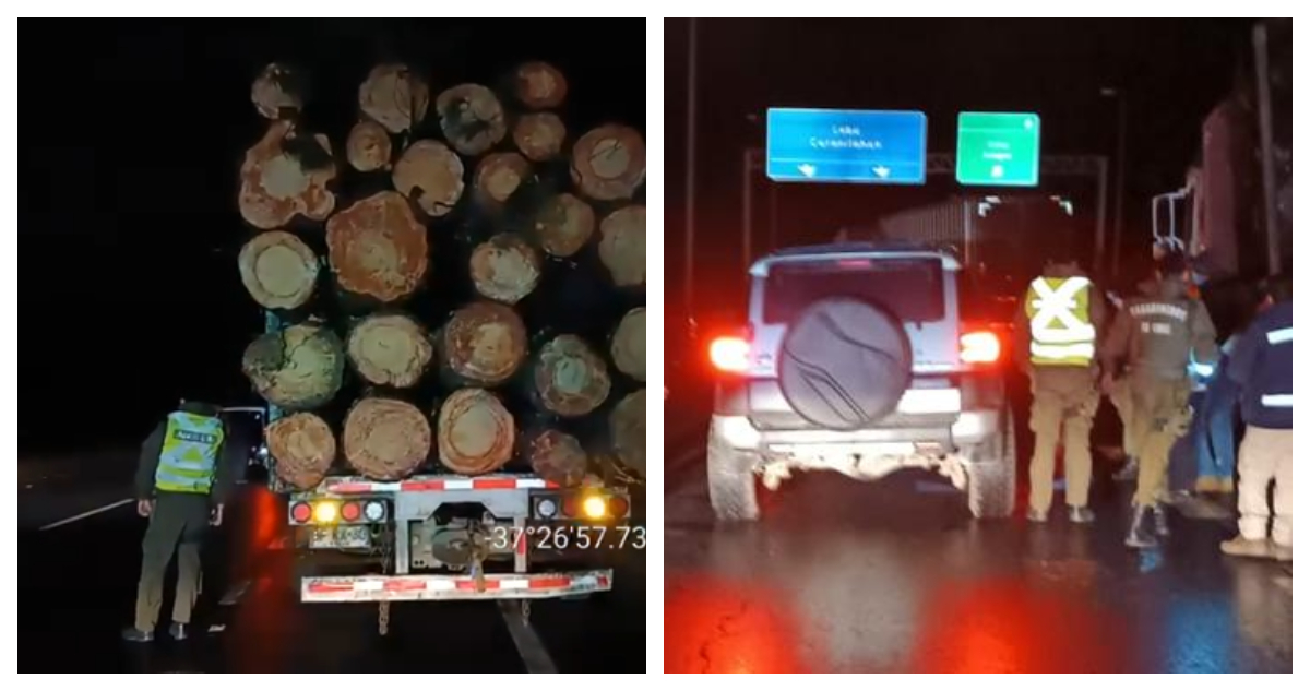 En libertad queda “El Mentolato” y otros dos acusados por robo de madera en Arauco
