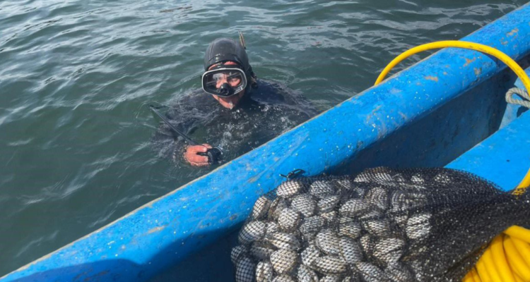 moluscos bahía Coronel toxina