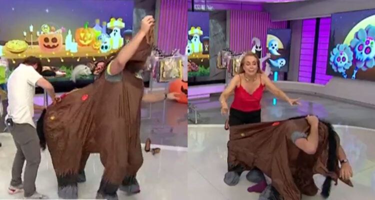 Karen Doggenweiler y José Antonio Neme dentro del disfraz de caballo.