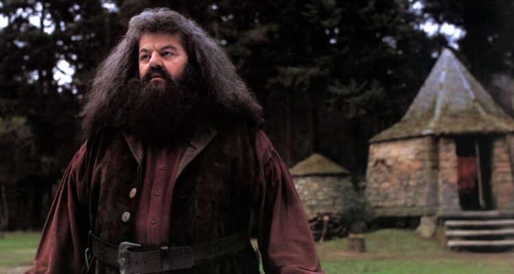 Osteoartritis: la enfermedad que afectó a Robbie Coltrane en sus últimos años de vida