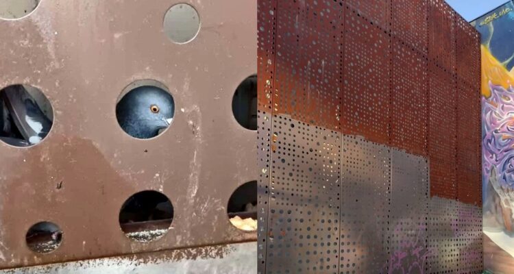 Piden rescatar a paloma atrapada en estructura de la estación Chile-España del Metro