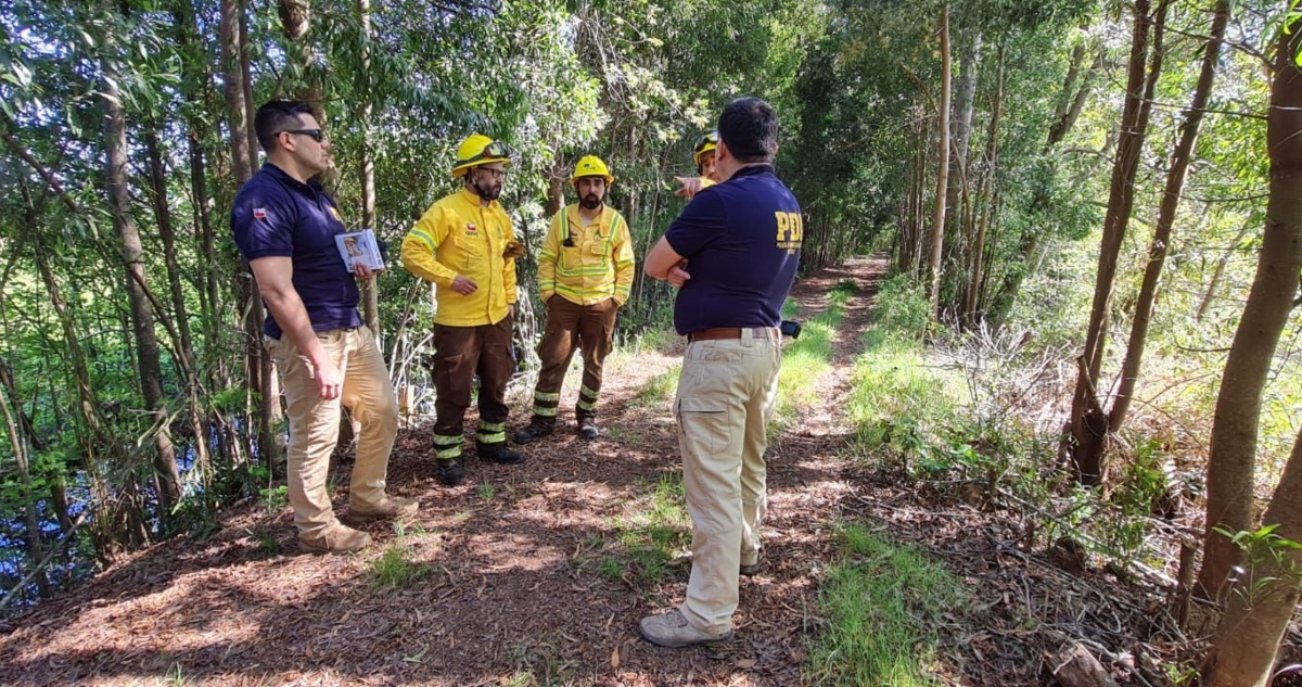 Incendio en santuario Angachilla