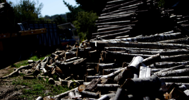 robo de madera Collipulli