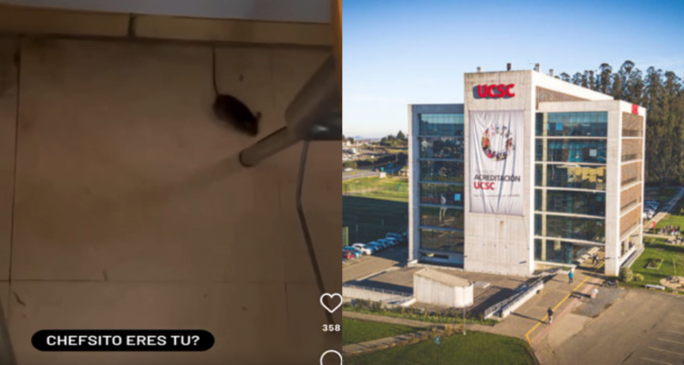 Alumnos en paro por roedores en edificio