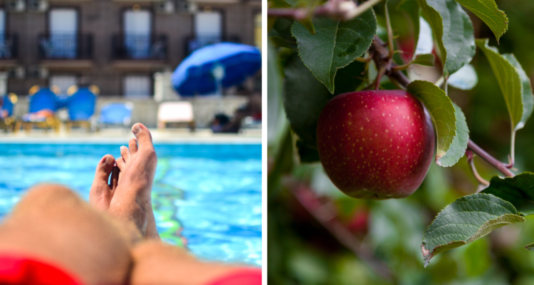 Persona relajándose en el borde de una piscina (izquierda) y una manzana como representación de la teoría de la gravedad descubierta por Einstein (Derecha). psicología descubrimientos científicos