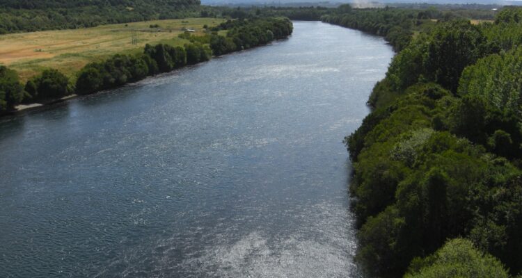 DGA restringe y suspende derechos de agua en Río Bueno
