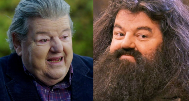 Robbie Coltrane como Hagrid