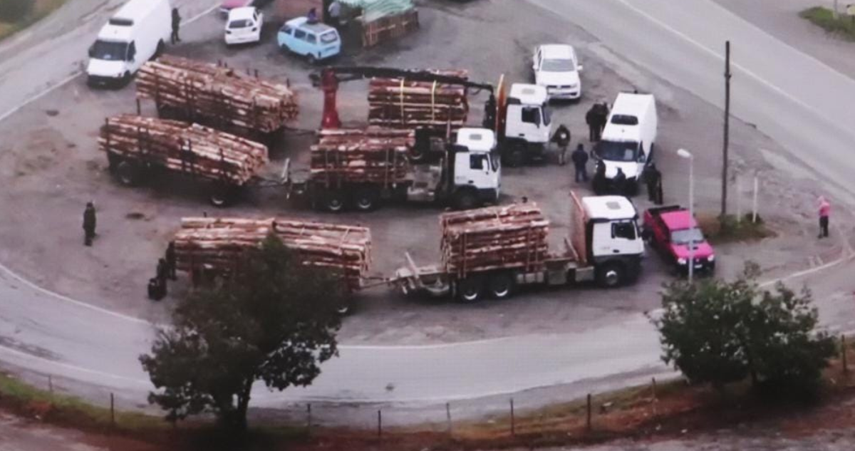 madera Bío Bío La Araucanía