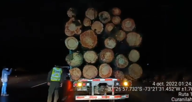 Duras críticas luego que los primeros detenidos por Ley de Robo de Madera quedaran en libertad