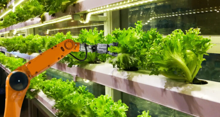 Santander y Oxentia lanzan desafío mundial