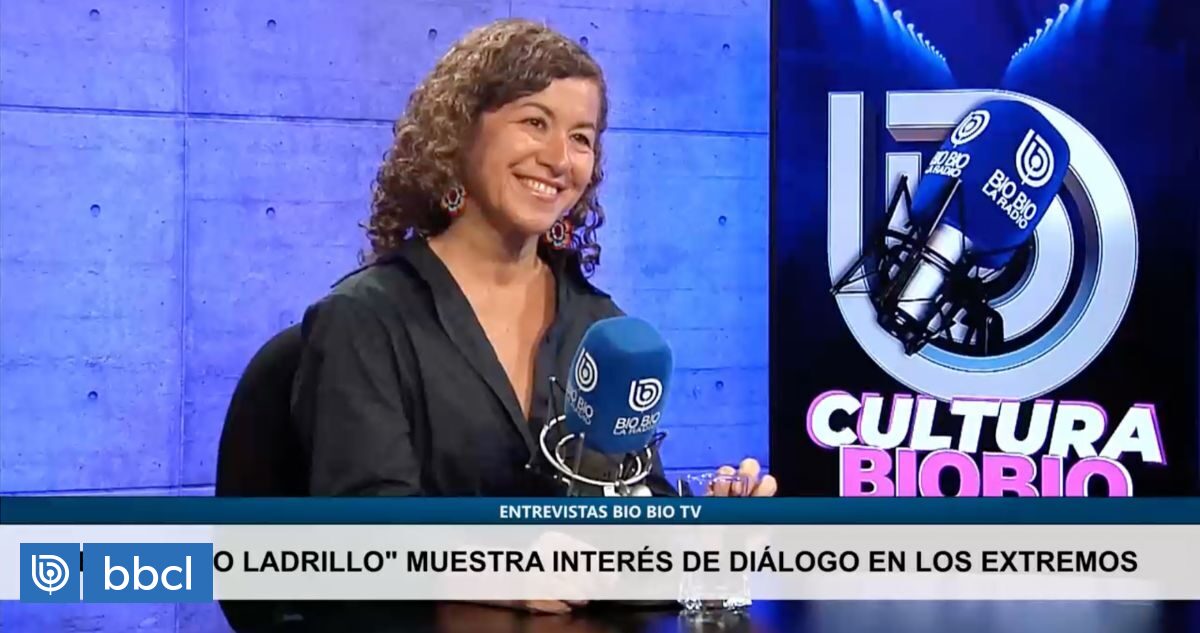 Carola Fuentes: El efecto ladrillo es un documental esperanzador sobre ...