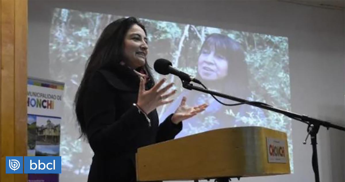 Ex asesor militante del PC denuncia «acoso moral» a delegado presidencial provincial en Chiloé |  Nacional