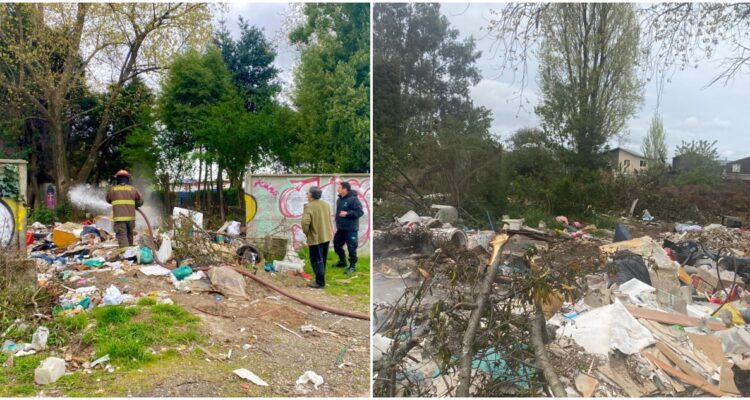 Proyecto habitacional en Valdivia