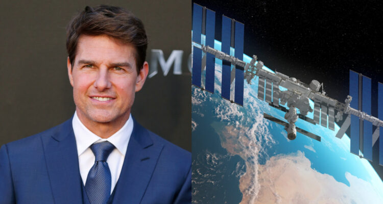 Tom Cruise