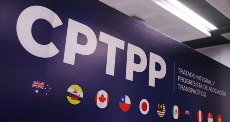 Qué es y que falta para que se ratifique el TPP-11 o TPP11